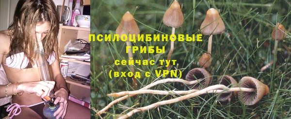 гашиш Белокуриха