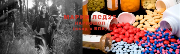 прущие грибы Тайга