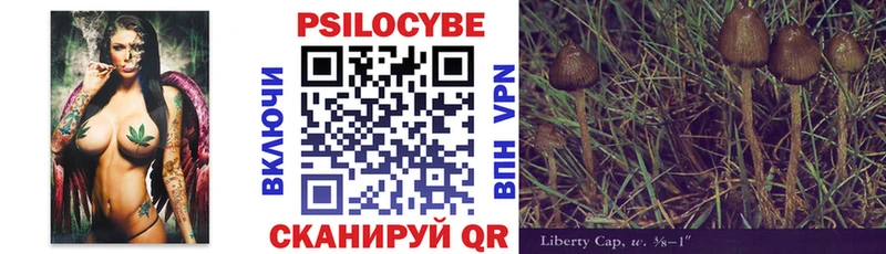 мориарти как зайти что такое наркотик Верхняя Пышма Псилоцибиновые грибы GOLDEN TEACHER
