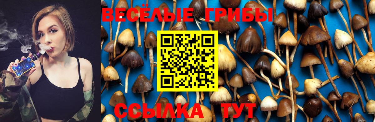 Псилоцибиновые грибы Cubensis  Вход с VPN  Галлюциногенные грибы GOLDEN TEACHER  Верхняя Пышма 